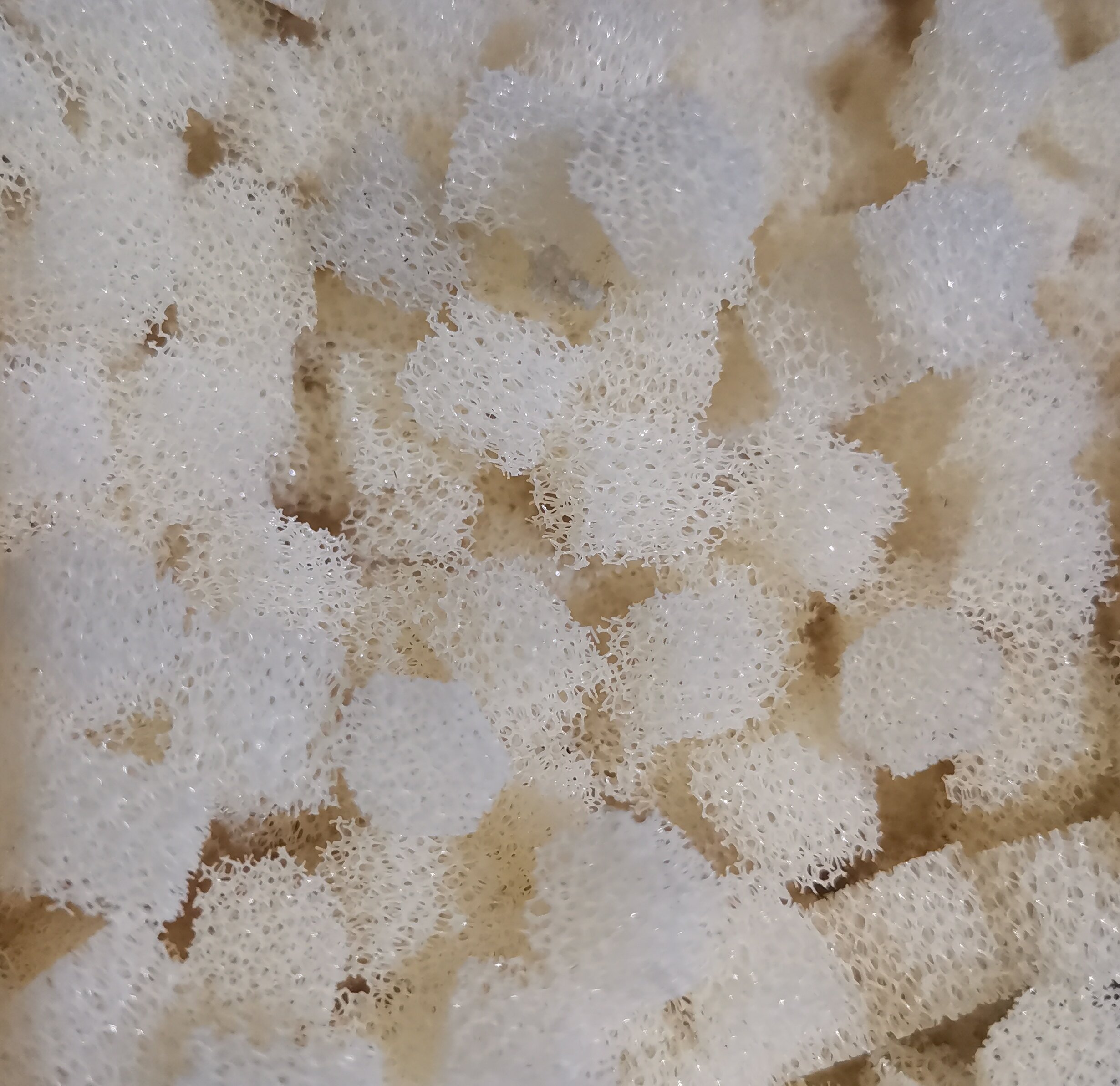 污水站用发泡填料是如何制造的呢？